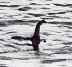 Black and white photo of a long-necked creature rising from the water in Loch Ness, famously known as the alleged Loch Ness Monster.